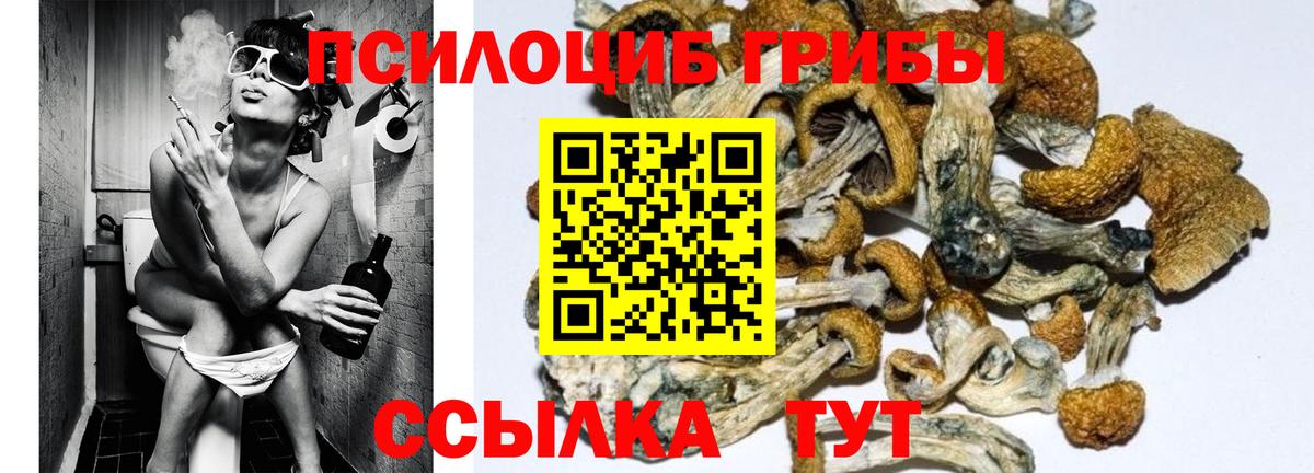 Барнаул  Галлюциногенные грибы Psilocybe  Вход с VPN 