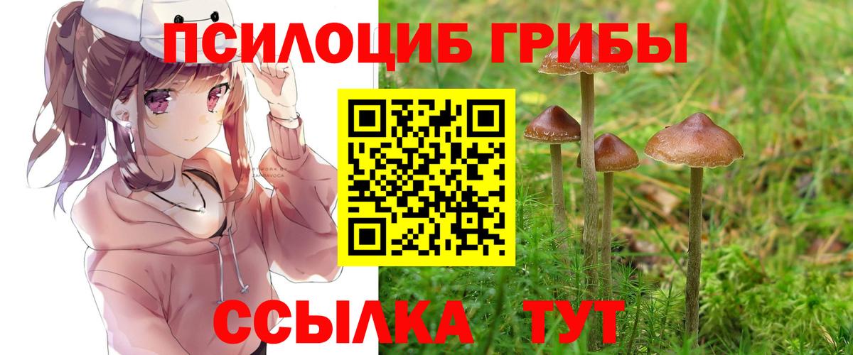 Псилоцибиновые грибы Cubensis Барнаул